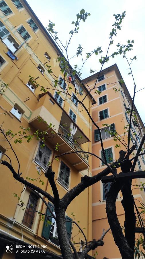 La Nina Apartment Camogli Exterior photo